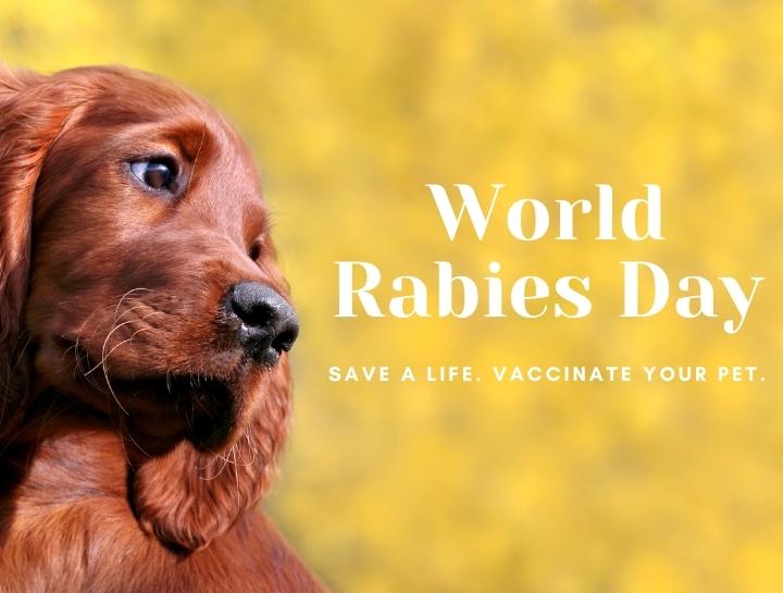 World Rabies Day